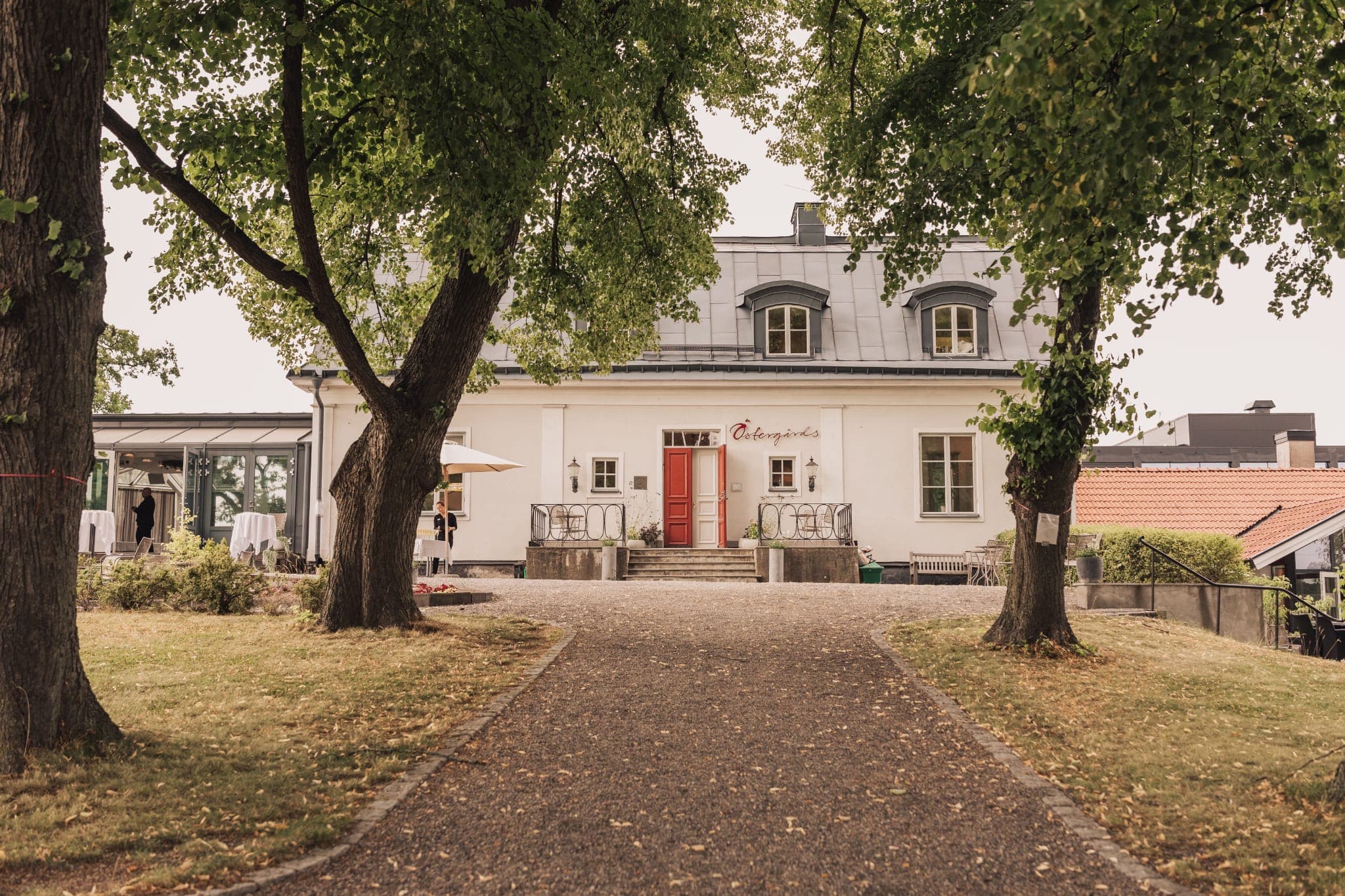 Östergårds hero 3
